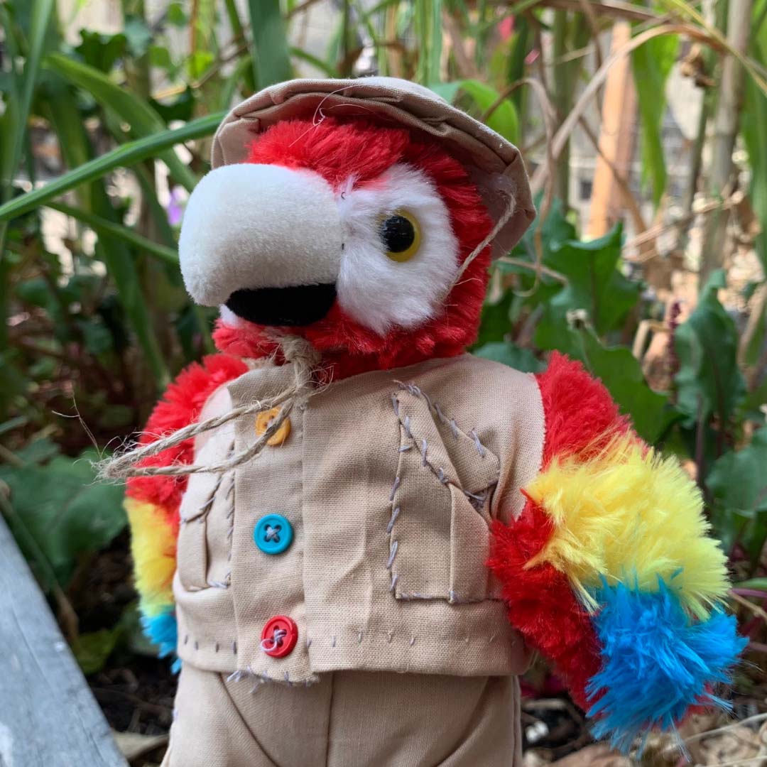 Image of Kallpachay's Loreto mascot bird stuffed animal dressed in a safari outfit.